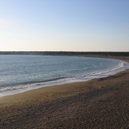 Paphos Love Nest Apartment 객실 사진